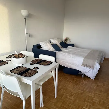 Lumineux Et Cosy Au Centre De Lausanne